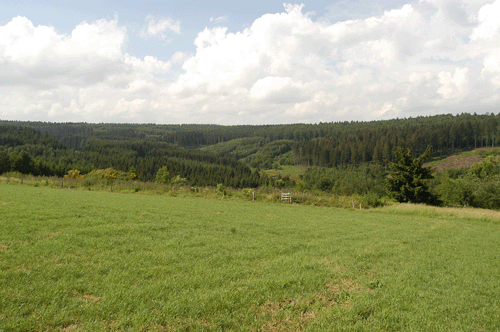À l’extrême nord du village le relief des champs plonge subitement pour former une sorte de cuvette, c’est le Champ des Fosses.