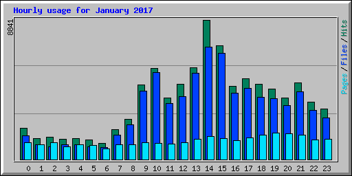 Hourly usage for January 2017