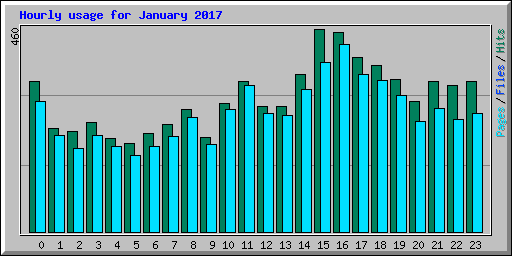 Hourly usage for January 2017